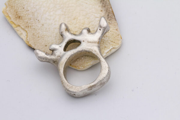 Wirbel Ring